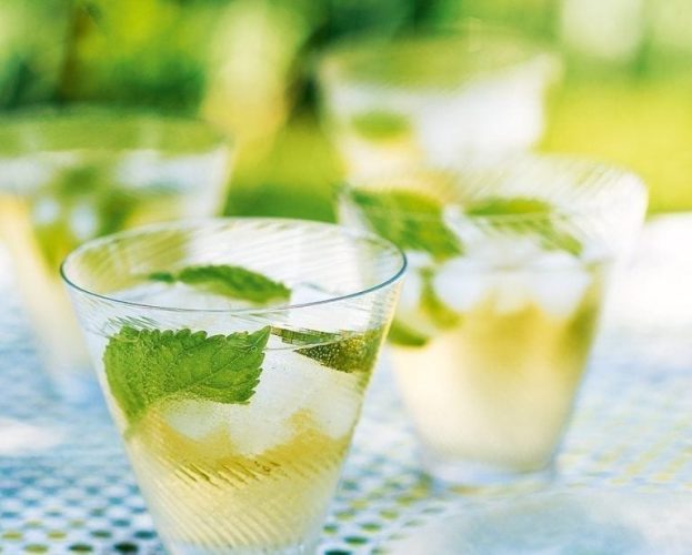 Hugo spritz recipe