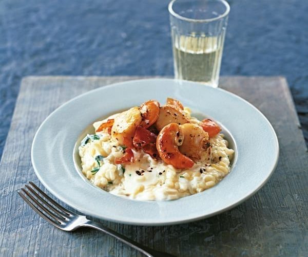 scallop, fennel and mascarpone risotto