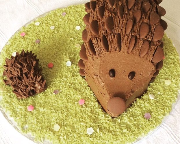 How to make a hedgehog cake