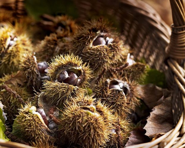 how to roast chestnuts
