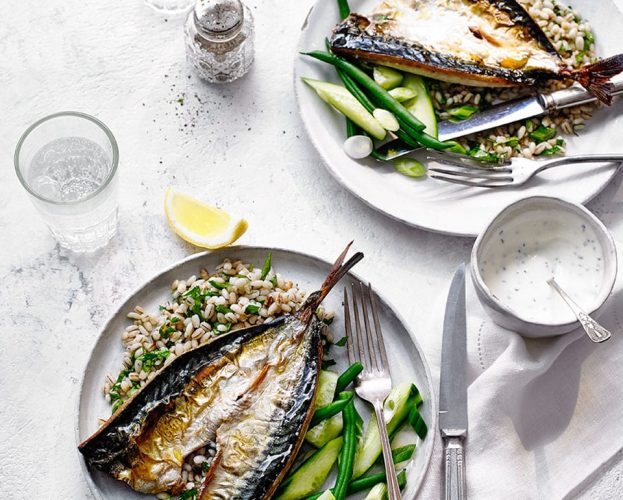 grilled mackerel with herb yogurt