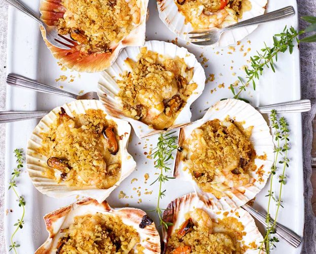 scallop-gratins