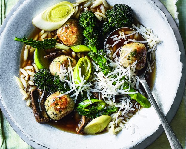 chicken meatball and orzo soup