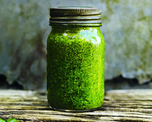 wild garlic and hazelnut pesto