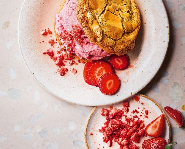 10-minute ice cream sandwich