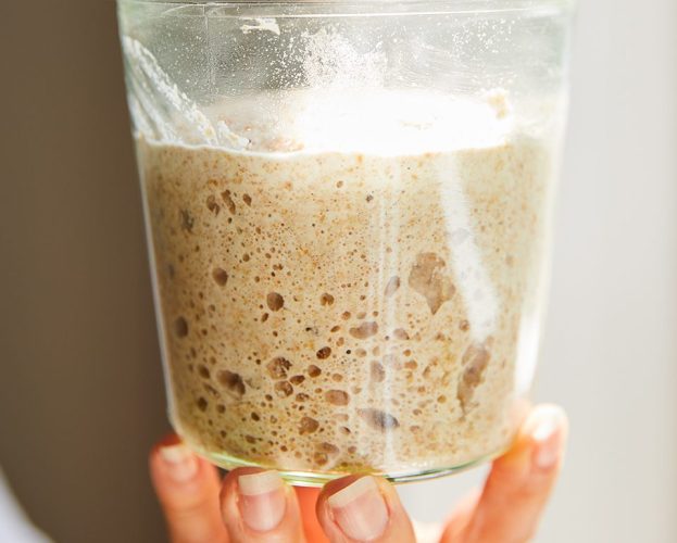 Sourdough starter