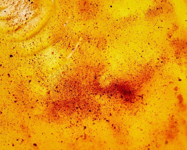 Brown butter