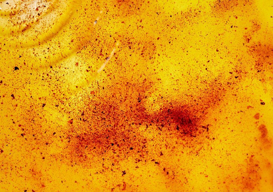 Brown butter