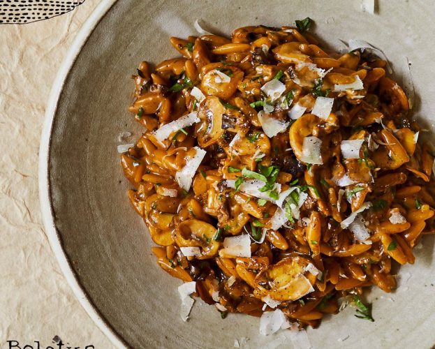 Mushroom orzotto
