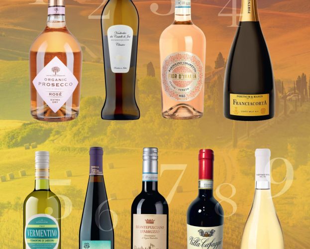 Best Italian wines