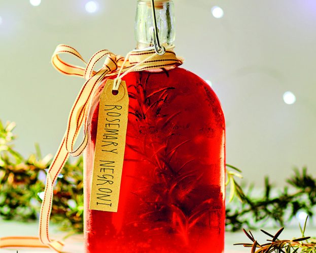 Rosemary negroni