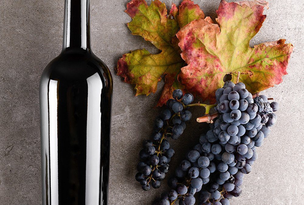 Wine school: merlot explained & the best bottles to buy