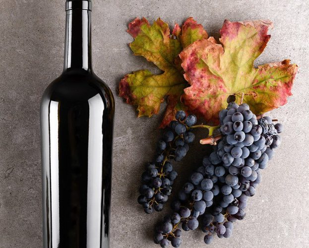 Wine school: merlot explained & the best bottles to buy